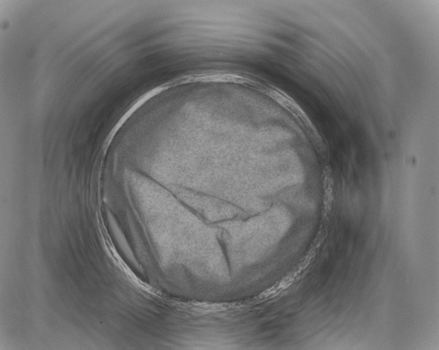 X0000081610852200702051352