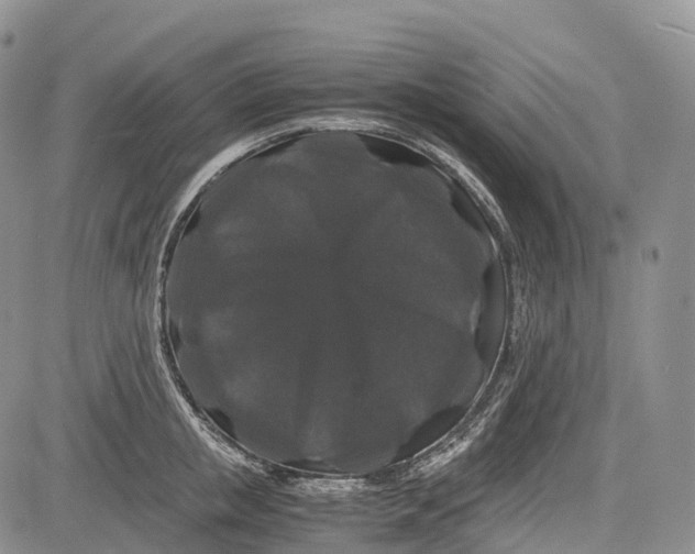 X0000081610853200702051352