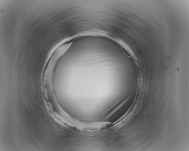 X0000081610854200702051352