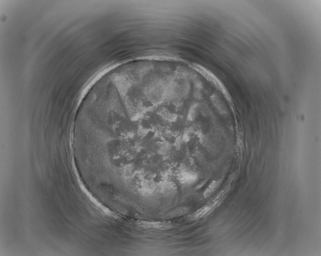 X0000081610855200702051352