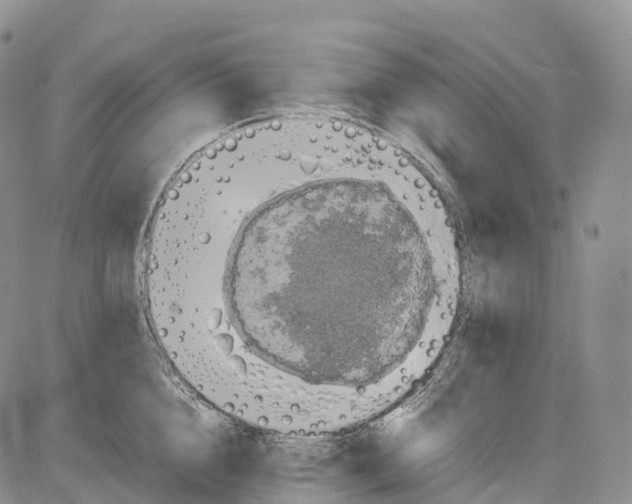 X0000081610856200702051352