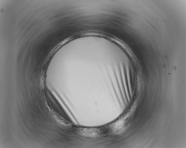 X0000081610857200702051352