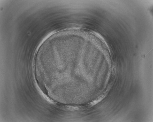 X0000081610859200702051352