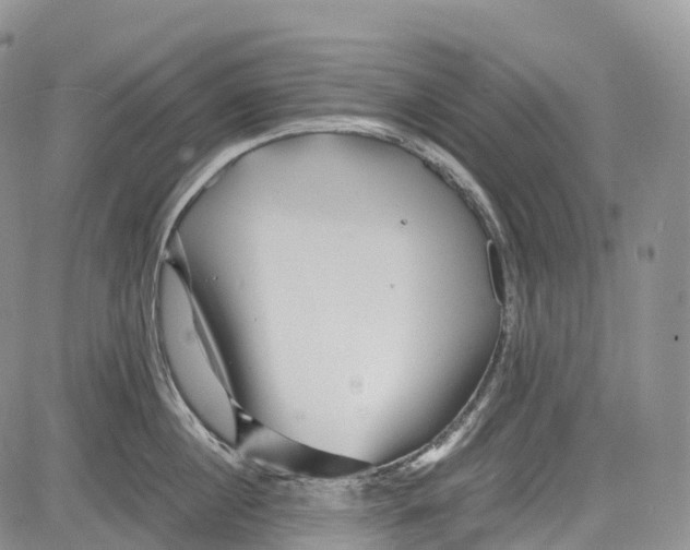 X0000081610860200702051352