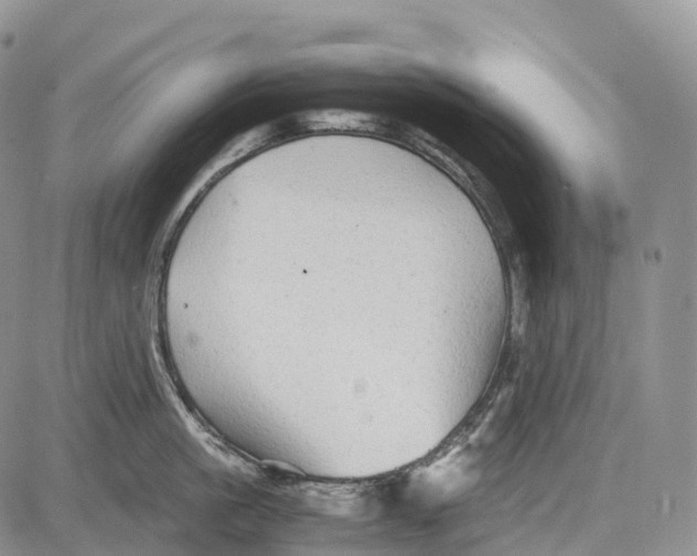 X0000081610861200702051352