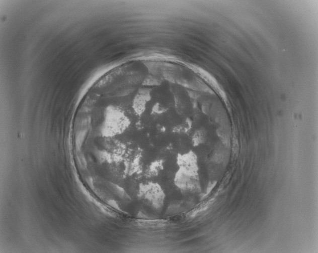 X0000081610863200702051352