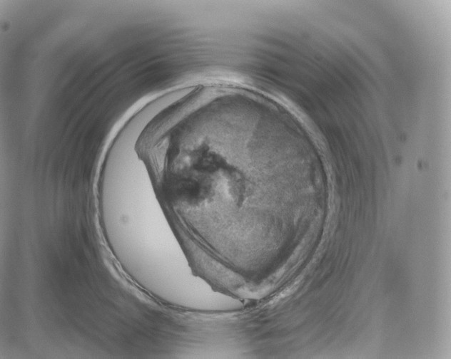 X0000081610864200702051352