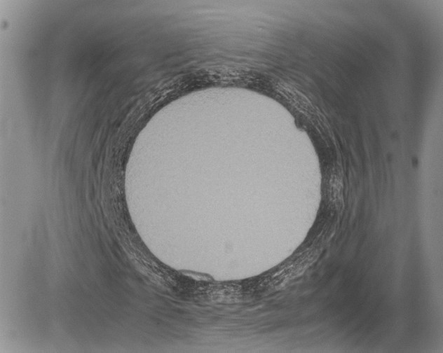 X0000081610865200702051352