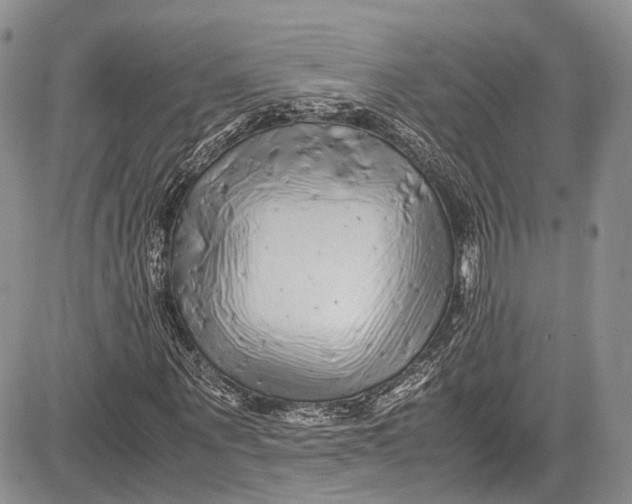 X0000081610867200702051352