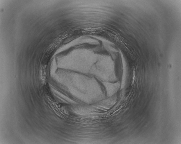 X0000081610868200702051352