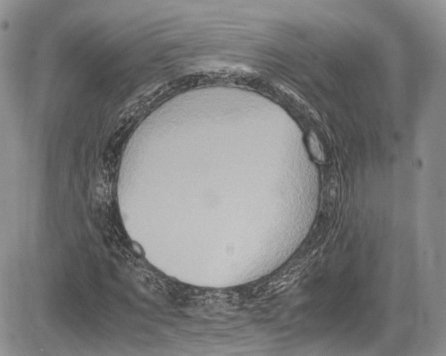 X0000081610869200702051352