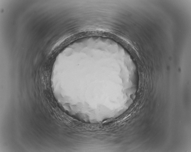 X0000081610871200702051352