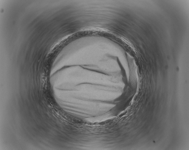 X0000081610872200702051352