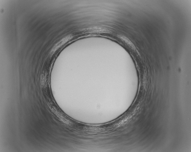 X0000081610873200702051352