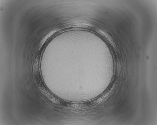 X0000081610875200702051352