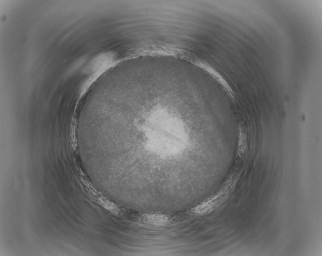 X0000081610878200702051351