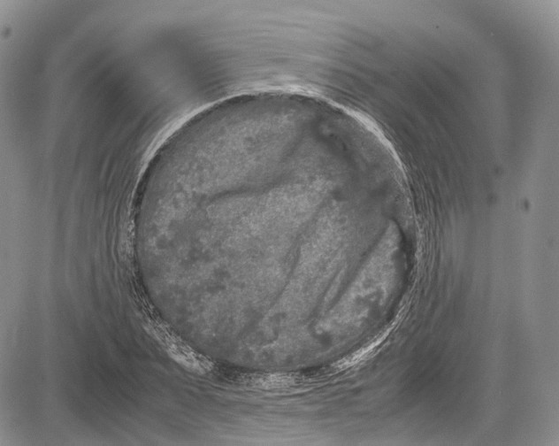 X0000081610879200702051351