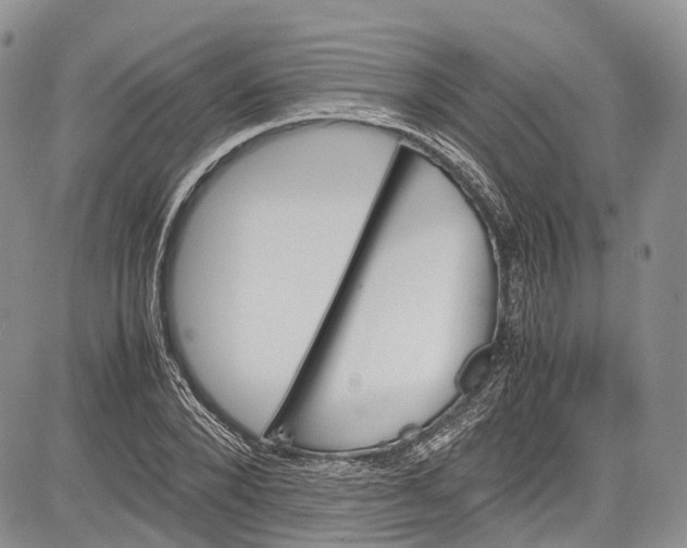 X0000081610880200702051351