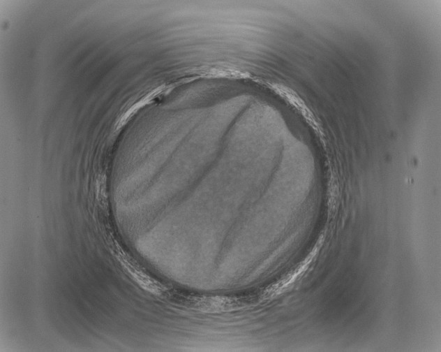 X0000081610881200702051351