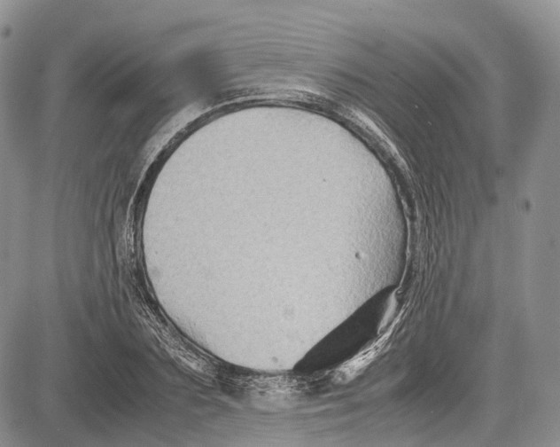 X0000081610883200702051351