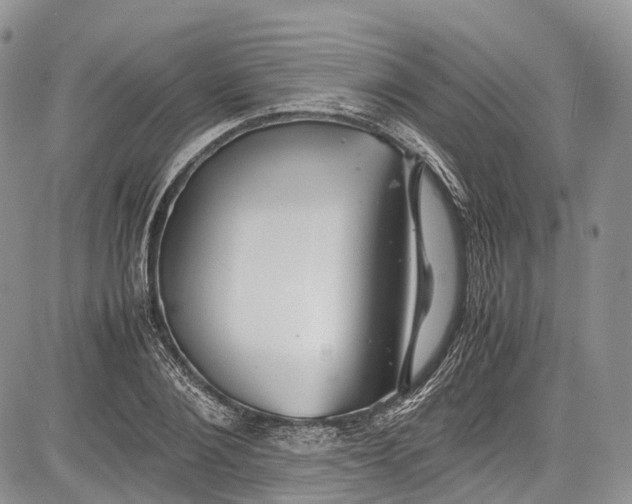 X0000081610884200702051351