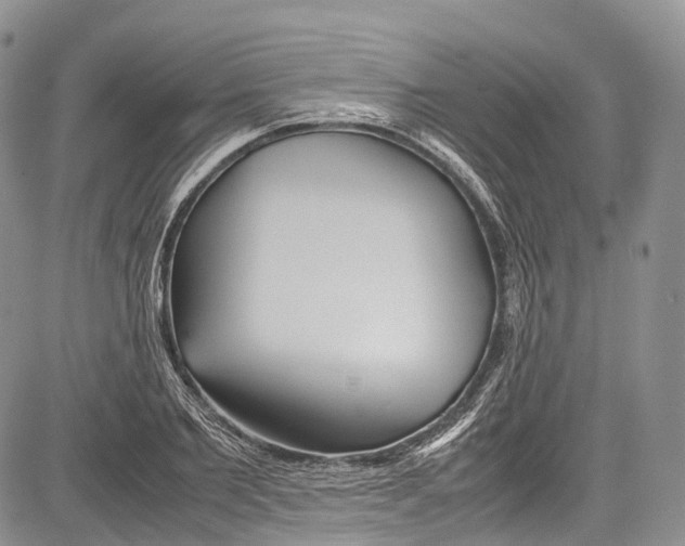 X0000081610885200702051351