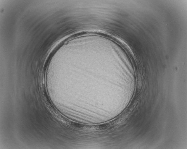 X0000081610887200702051351