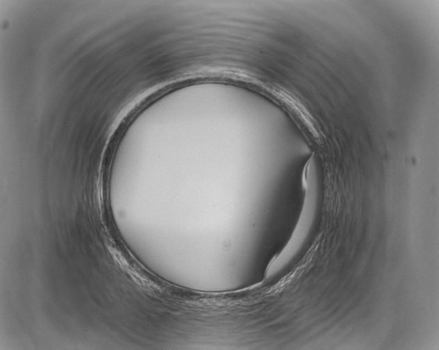 X0000081610888200702051351