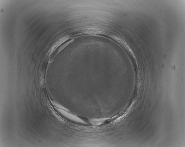 X0000081610889200702051351