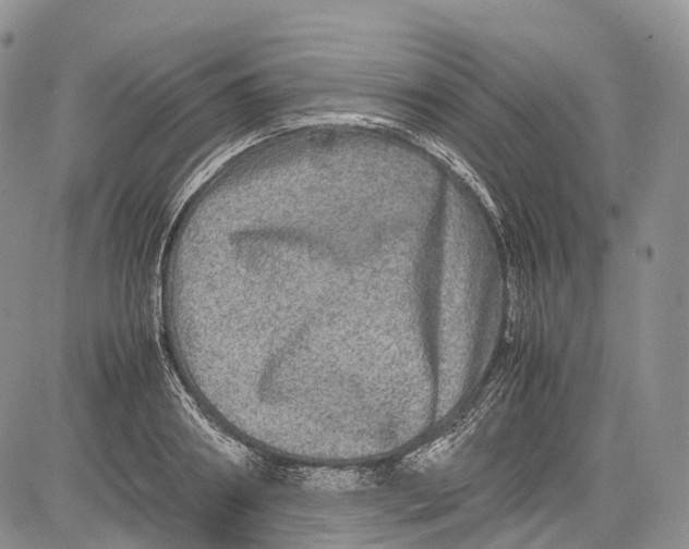 X0000081610890200702051351