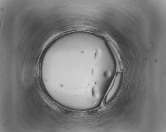 X0000081610891200702051351