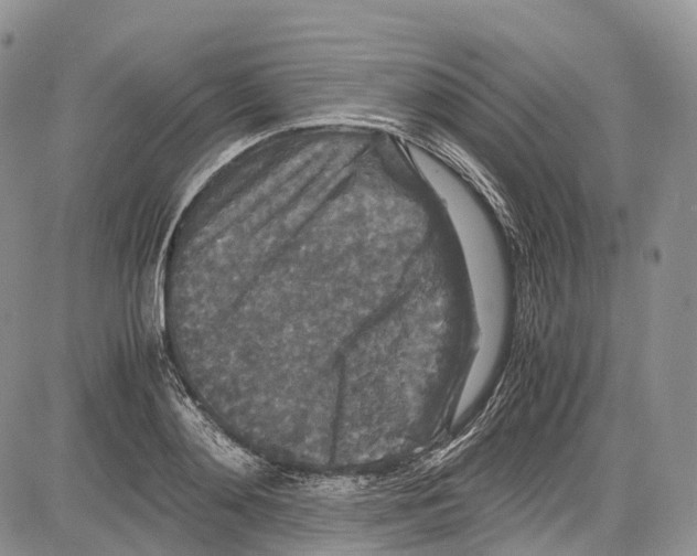 X0000081610892200702051351