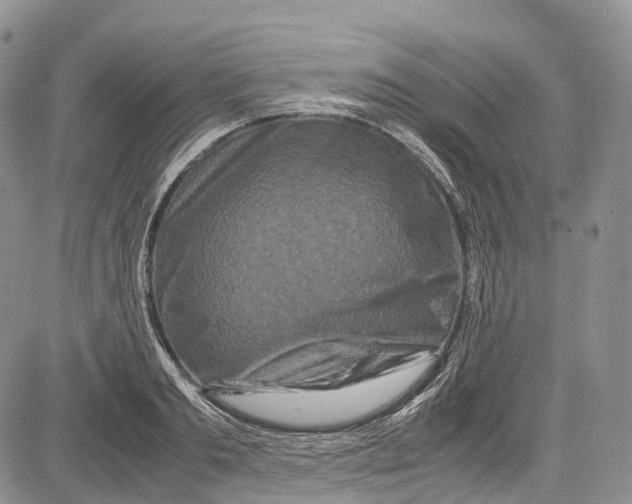 X0000081610893200702051351