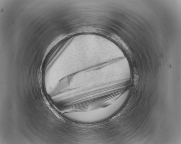 X0000081610894200702051351