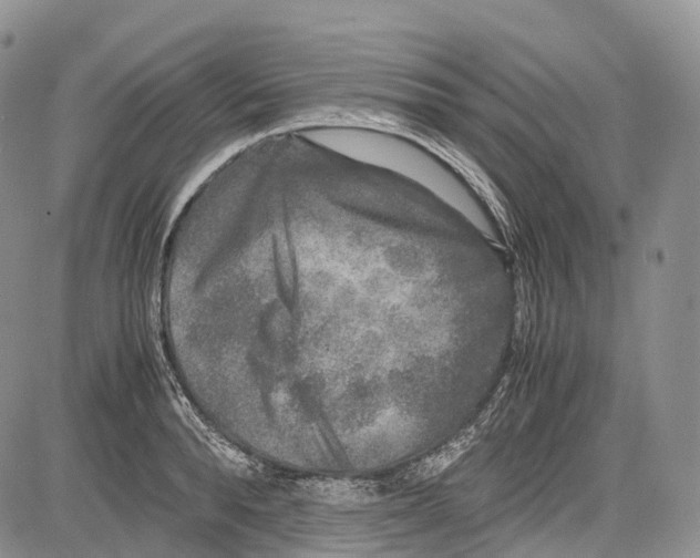 X0000081610896200702051351