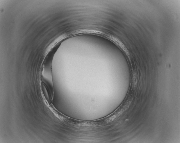 X0000081610898200702051351