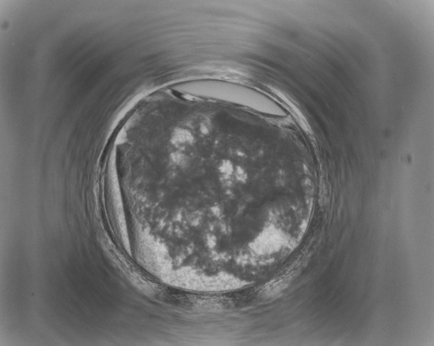 X0000081610899200702051351