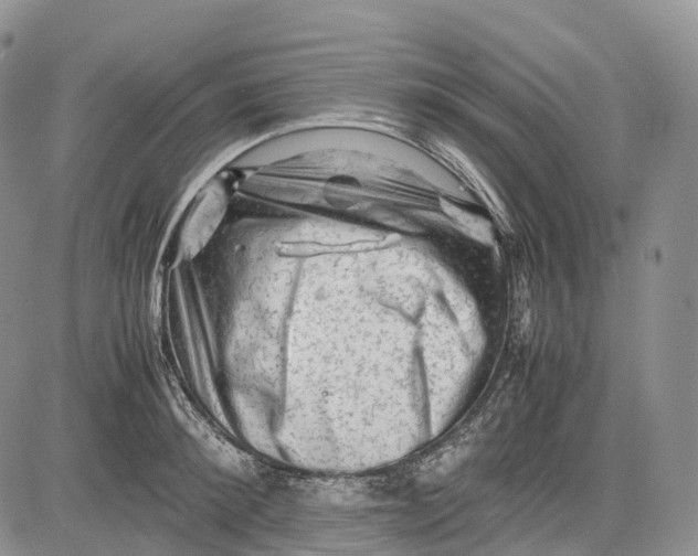 X0000081610900200702051351