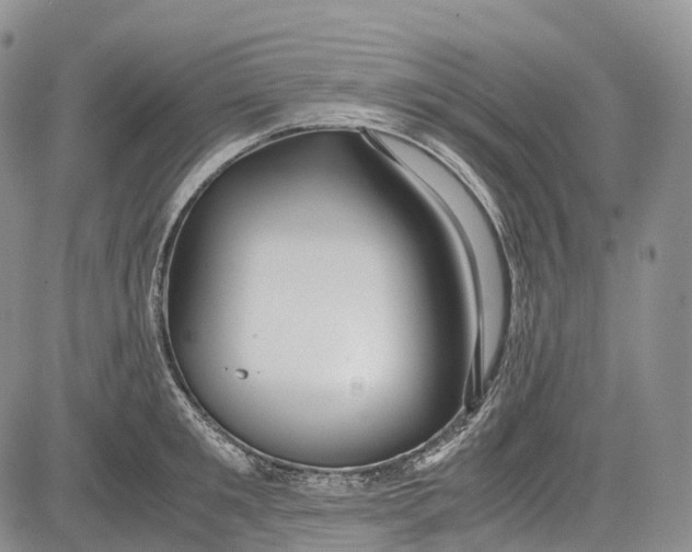 X0000081610901200702051351