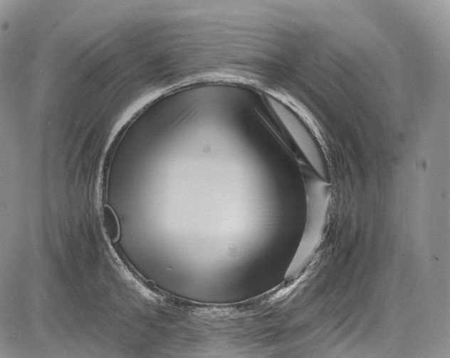 X0000081610902200702051351