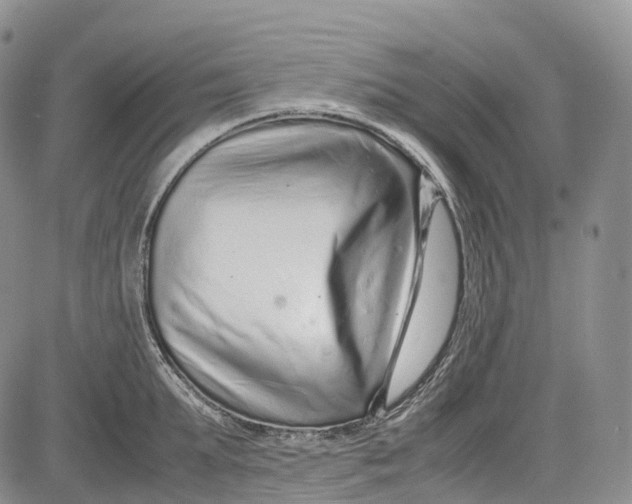 X0000081610903200702051351