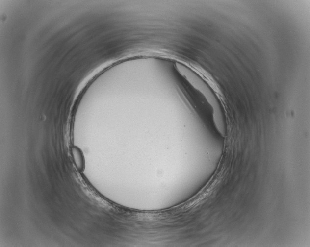 X0000081610904200702051351