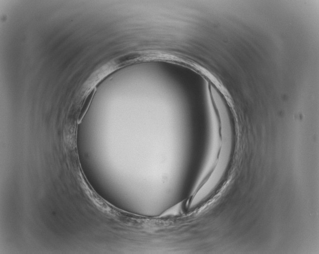 X0000081610905200702051351