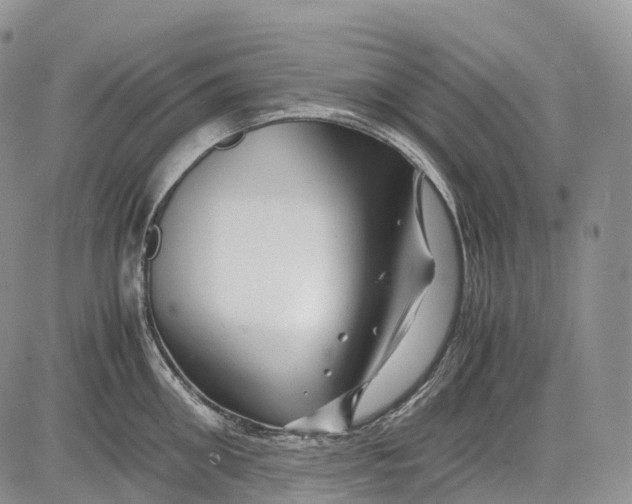 X0000081610906200702051351