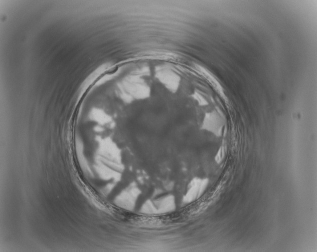 X0000081610907200702051351