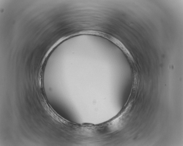 X0000081610908200702051351