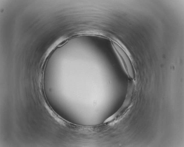 X0000081610909200702051351