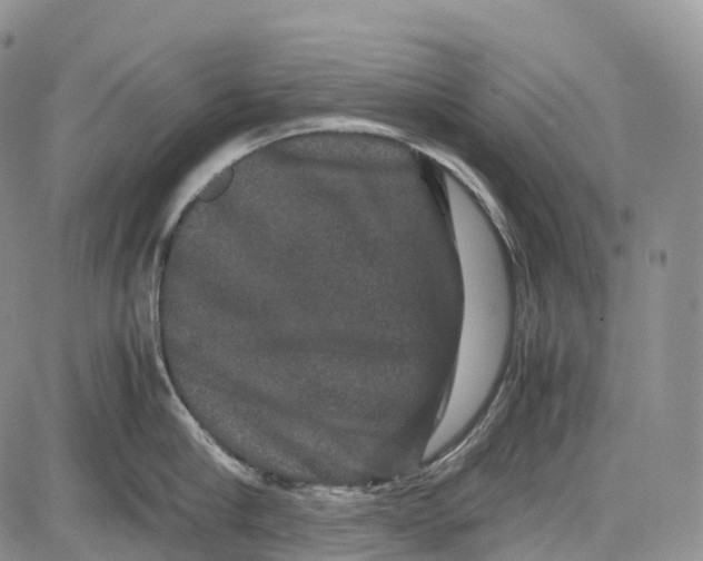 X0000081610910200702051351