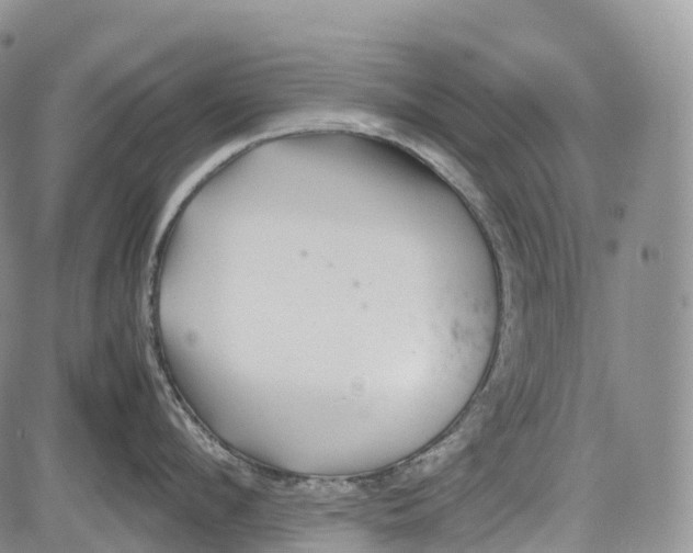 X0000081610912200702051351