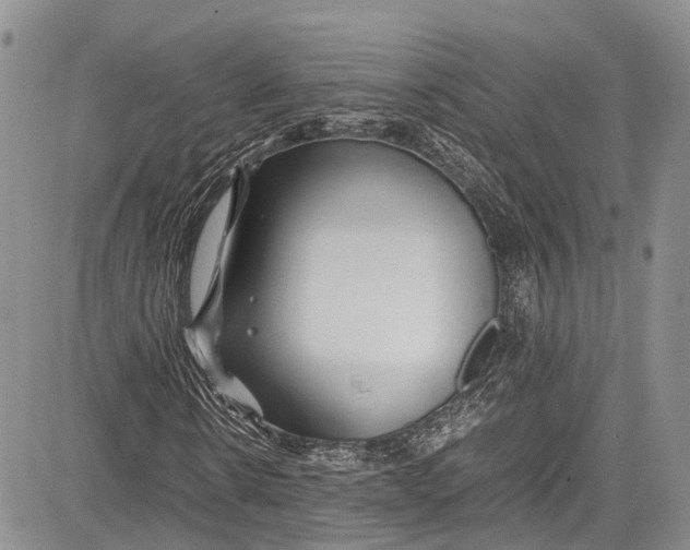 X0000081610914200702051350